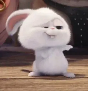 😎 Snowball The Secret Life of Pets Bola de neve, Coelho, Coelhinho, Animal, Fofo, Animal de estimação, Desenho animado whatsapp sticker
