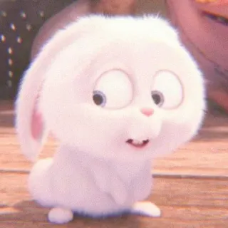 🐰 Snowball The Secret Life of Pets conejo, conejito, dibujo animado, lindo, animal, mascota, blanco, esponjoso telegram sticker
