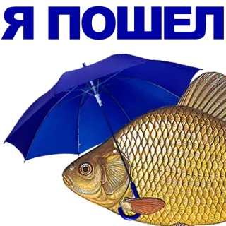 🐠 poisson, parapluie, protection, pluvieux, bleu whatsapp sticker