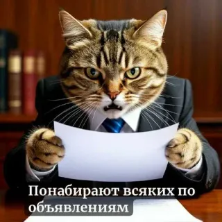 😒 Понабирают всяких по объявлениям telegram sticker