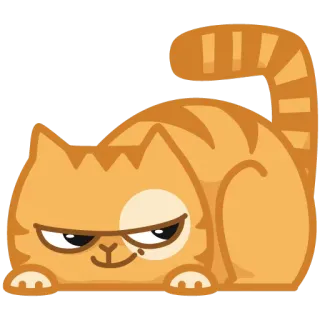 😏 cat, animal, pet, cute, orange telegram sticker