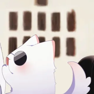 🐈 Katze, Anime, süß, kawaii, Tier, weiß, animiert telegram sticker