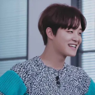 🐼 hombre, sonriendo, retrato, asiático, coreano whatsapp sticker