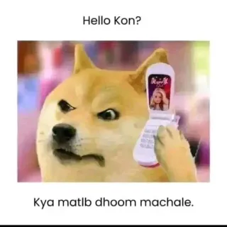 😐 Doge Hello Kon? Kya matlb dhoom machale. doge, meme, phone, flip phone, confused, funny, talking telegram sticker