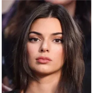 ✨ Kendall Jenner 有名人, モデル, ファッション, 人物, 女性, ポートレート telegram sticker