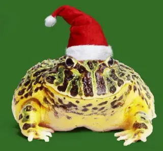 🎅 grenouille, bonnet de Noël, noël, amphibien, animal whatsapp sticker