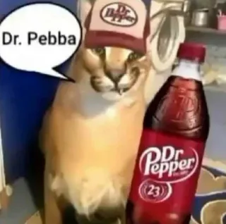 🧂 Dr. Pebba Katze, Dr. Pepper, Meme, Lustig, Tier, Haustier whatsapp sticker