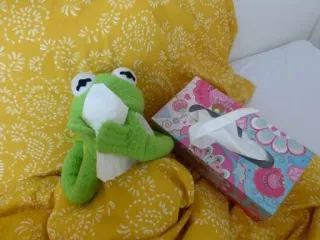 🤧 frog, plush, tissue box, sick, illness, bed, yellow telegram sticker