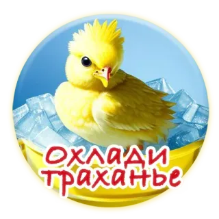❄️ Охлади трахање цыплёнок, лёд, охлаждение, птица telegram sticker