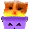 🎃