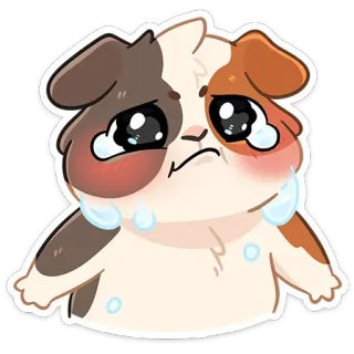 🥺 モルモット, 動物, ペット, 悲しい, 泣く, 絵文字 telegram sticker