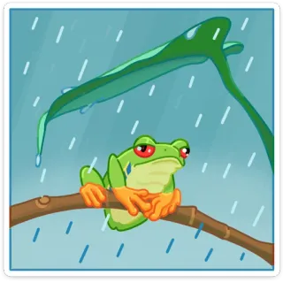 🌱 żaba, deszcz, żaba czerwonooka, zwierzę, natura, kreskówka telegram sticker