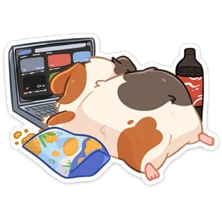 😋 モルモット, ラップトップ, おやつ, チップス, ソーダ, アニメ, 怠惰, 可愛い telegram sticker