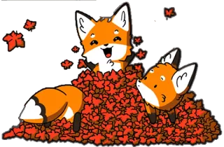 🍁 лиса, осень, листья, животные, милый, игривый, осень whatsapp sticker