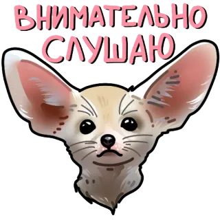 👂 ВНИМАТЕЛЬНО СЛУШАЮ Fennec, Animale, Ascolto, Attento, Carino telegram sticker
