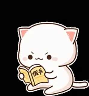 🤓 假书 gatto, leggere, libro, carino telegram sticker