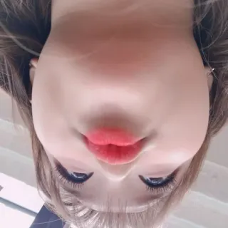 🐞 whatsapp sticker