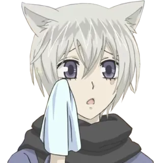 😢 Tomoe Kamisama Kiss Anime, Volpe, Triste, Lacrima, Kawaii, Manga telegram sticker