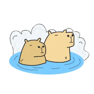 🧖‍♀️ capivara, animais, fofo, natação, roedor, água telegram sticker