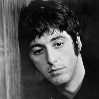 😓 Al Pacino actor, portrait, black and white, celebrity, person telegram sticker
