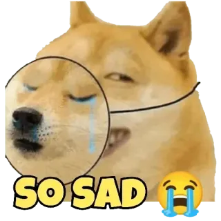 ☹️ doge SO SAD 悲しい, 泣く, 犬, ミーム, 感情 telegram sticker