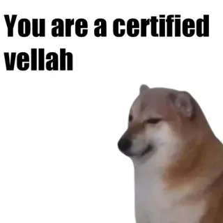🐶 You are a certified vellah 개, 밈, 모욕, vellah, 인증된, cheems telegram sticker