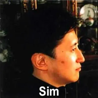 👍 Sim person, profile, portrait, man whatsapp sticker