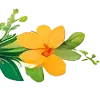 🌼