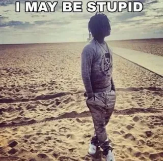 🌟 I MAY BE STUPID meme, stupid, funny, joke telegram sticker