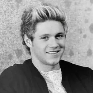 ✨ Niall Horan ไนออล ฮอแรน, วันไดเร็กชัน, คนดัง, นักร้อง, ภาพเหมือน, บุคคล telegram sticker