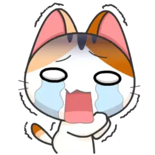 😭 猫, 泣く, 悲しい, アニメ, 可愛い, カワイイ telegram sticker