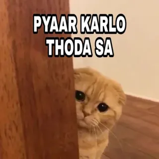 🍁 PYAAR KARLO
THODA SA Katze, süß, Liebe, Zuneigung, Haustier, Kätzchen, entzückend telegram sticker