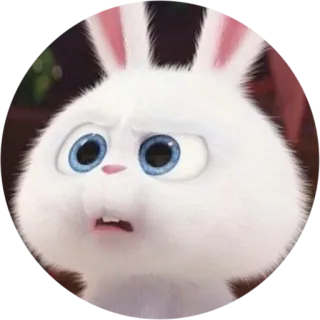 😦 Snowball The Secret Life of Pets coniglio, animale, cartone animato, personaggio, bianco, animale domestico, animato whatsapp sticker