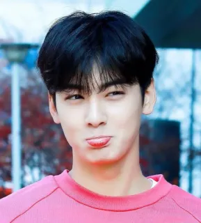 🥺 人, 男性, ピンク, アジア人, 韓国人, ポートレート, 男性 telegram sticker