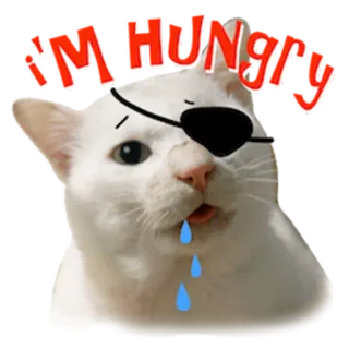 🤤 I'M HUNGRY Katze, Pirat, hungrig, Sticker, Tier telegram sticker