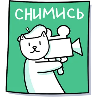 🎥 СНИМИСЬ cat, camera, film, movie, cute, animation telegram sticker