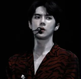 🌑 man, singer, male, performer, kpop, celebrity telegram sticker
