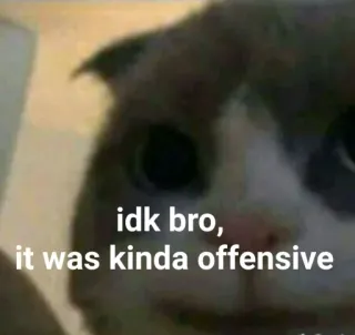 🐱 idk bro, it was kinda offensive Katze, beleidigend, Meme, Humor, kA, Bruder whatsapp sticker
