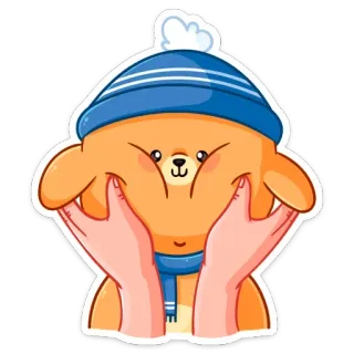 🙂 熊, 冬天, 帽子, 围巾, 可爱, 卡通, 卡哇伊 telegram sticker