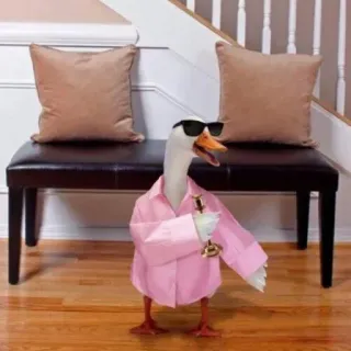 😎 goose, sunglasses, shirt, animal, bird, fashion whatsapp sticker