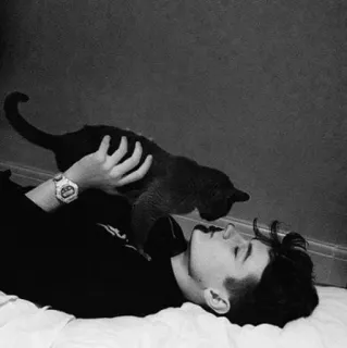 🙂 man, cat, pet, domestic animal, lying down, affection, grayscale telegram sticker
