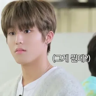 🤔 (그게 뭔데?) whatsapp sticker