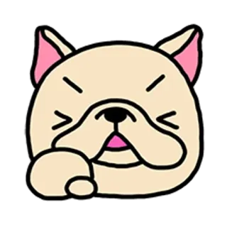 🐶 gatto, cartone animato, carino, animale, divertente telegram sticker