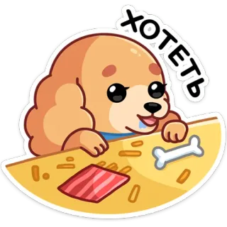 🤤 ХОТЕТЬ Hund, süß, will, Essen, Welpe, Tisch telegram sticker