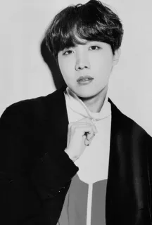 💱 J-Hope kpop, cantor, idol, masculino, retrato, J-Hope, BTS telegram sticker