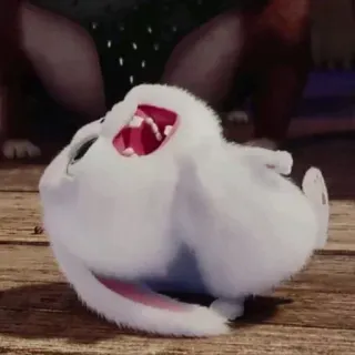 🐇 Snowball The Secret Life of Pets thỏ, trắng, động vật, dễ thương, thú cưng, hoạt hình telegram sticker