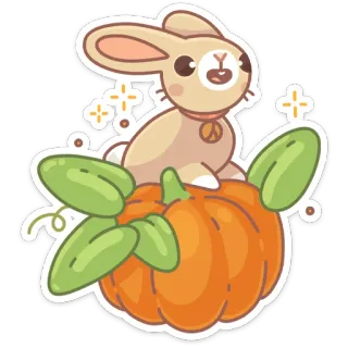 🎃 bunny, rabbit, pumpkin, fall, autumn, cute, kawaii, animal telegram sticker