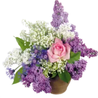 ✨ @Loveoops ✨ : Flower5 telegram stickers