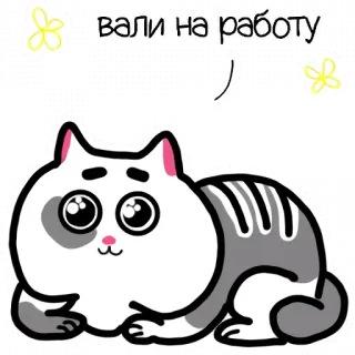 😼 вали на работу แมว, งาน, ตลก, สัตว์, น่ารัก, การ์ตูน telegram sticker