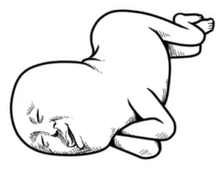 😑 bébé, nourrisson, dormir, dessin, minimaliste, mignon telegram sticker